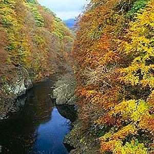 Pass of Killiecrankie